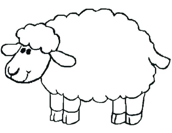 Sheep Outline Drawing at PaintingValley.com | Explore collection of ...