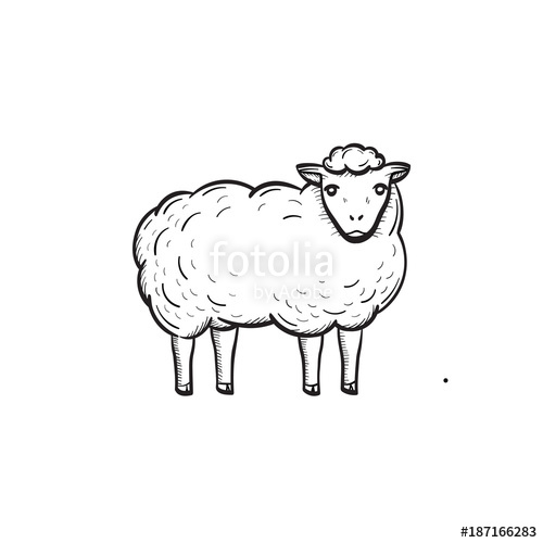500x500 vector hand drawn sheep outline doodle icon sheep sketch - Sheep Outline Drawing