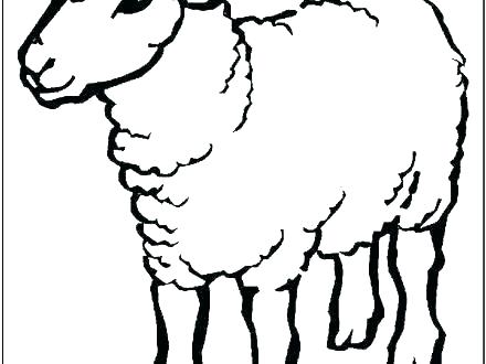 440x330 Coloring - Sheep Outline Drawing