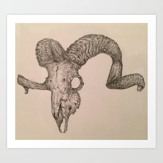 550x550 Ram Skull Drawing Art Print - Sheep Skull Drawing