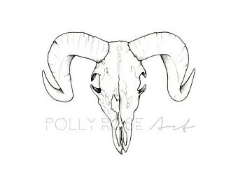 340x270 Ram Skull Drawing Etsy - Sheep Skull Drawing