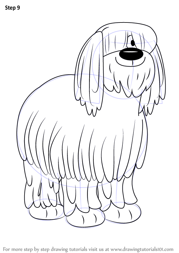 598x844 learn how to draw niblet the old english sheepdog from pound - Sheepdog Drawing