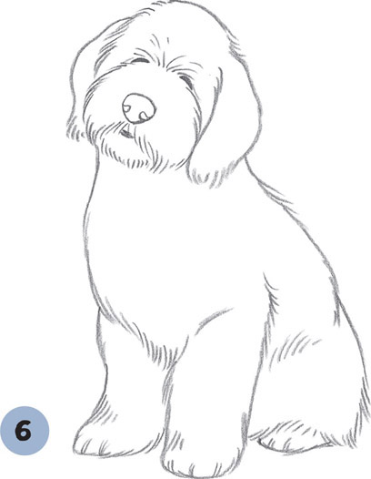 408x526 old english sheepdog puppy - Sheepdog Drawing
