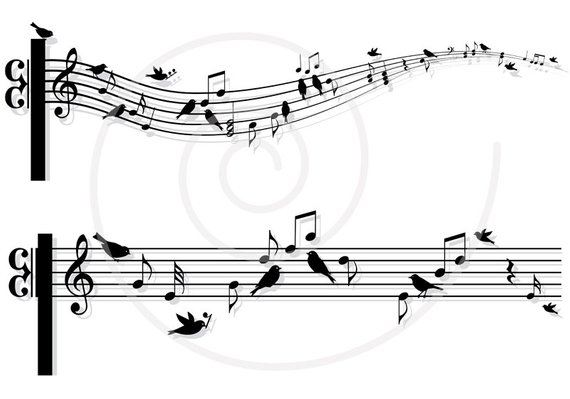 570x399 Musical Notes With Birds, Music Sheet, Animal, Digital Clip Art - Sheet Music Drawing