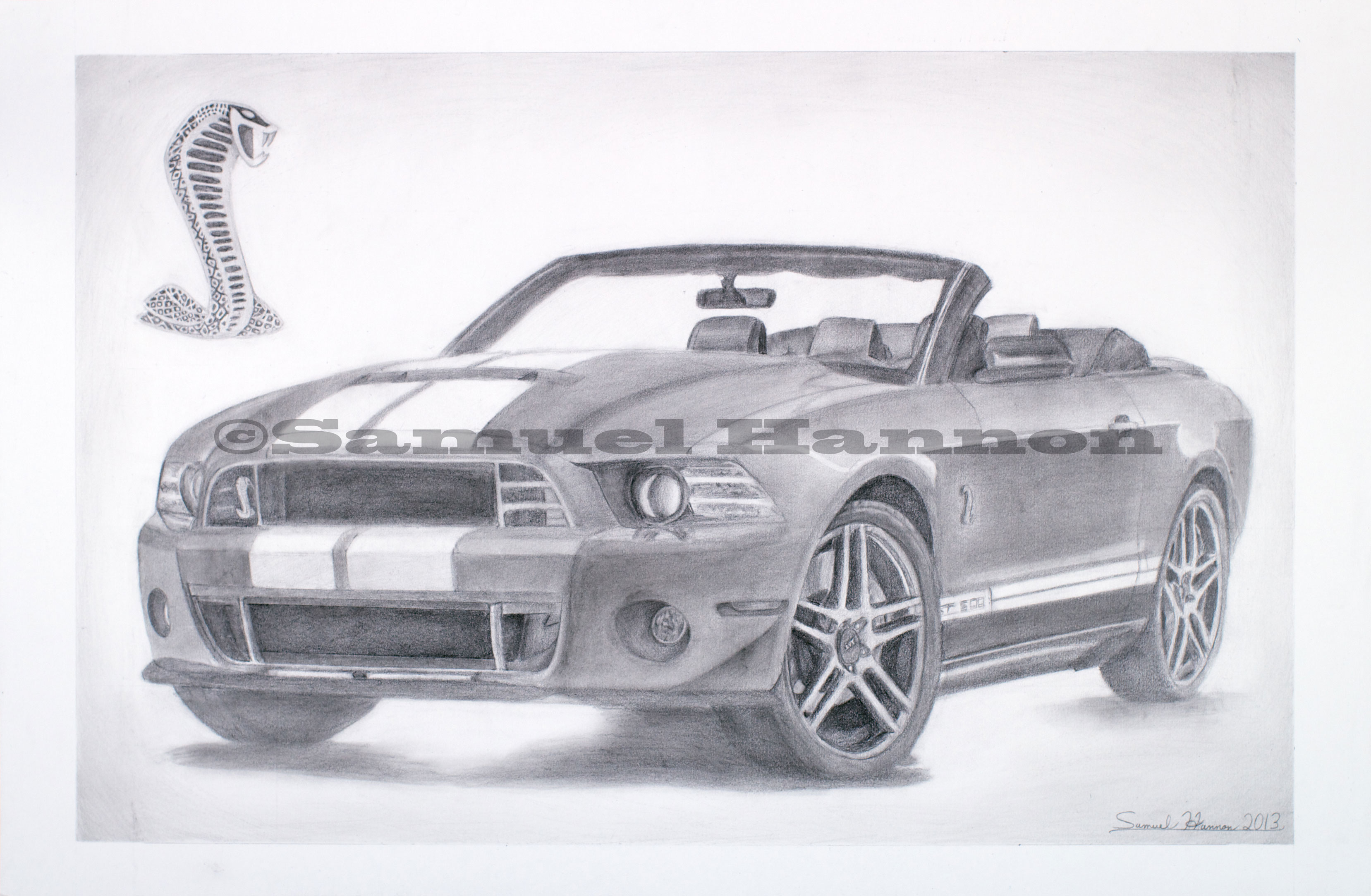 3315x2167 Shelby Mustang Drawing - Shelby Cobra Drawing