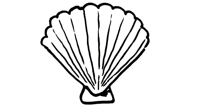 709x375 how to draw a nautilus shell real easy shoo rayner author - Shell Drawing