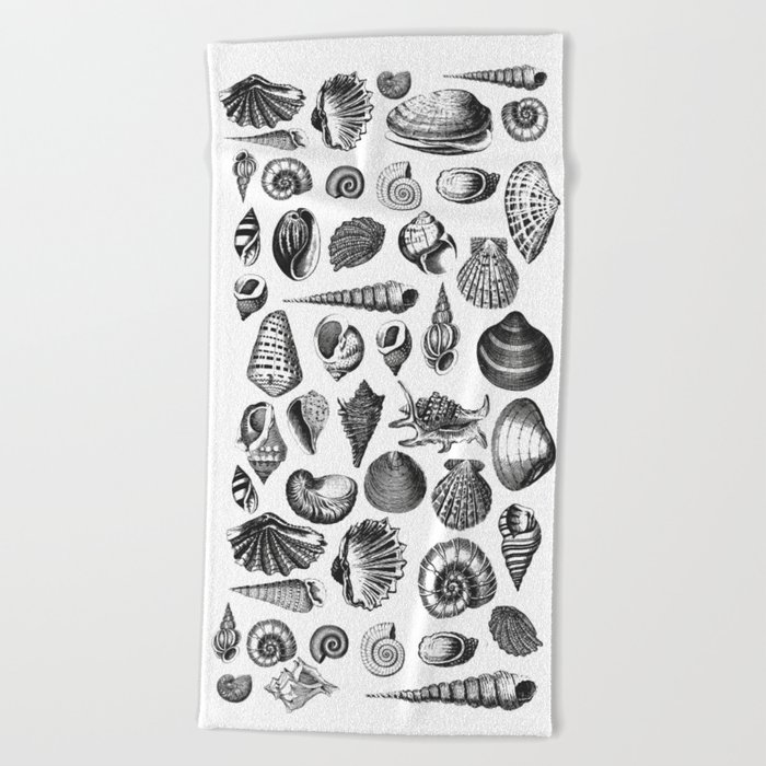 700x700 vintage sea shell drawing black and white beach towel - Shell Drawing