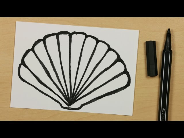 640x480 How To Draw A Shell - Shell Drawing Easy