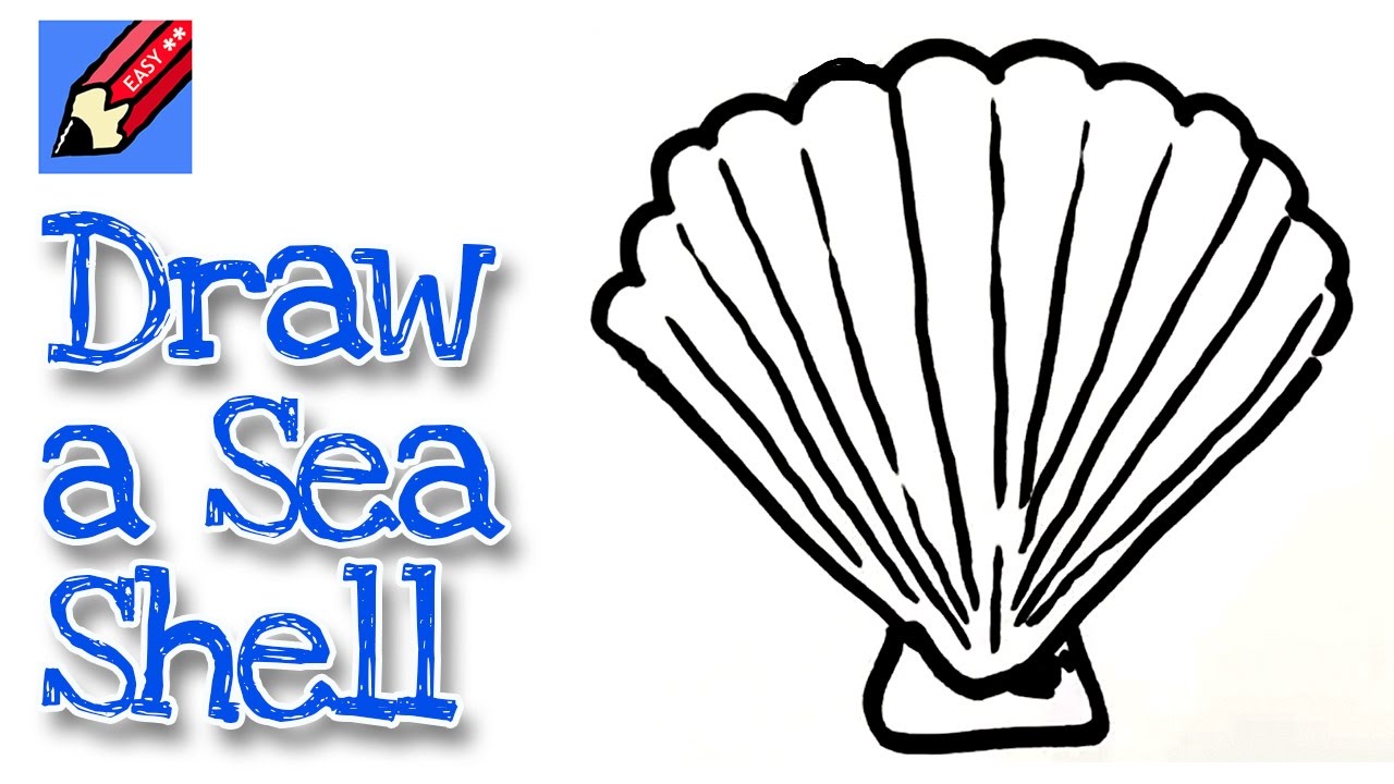1280x720 How To Draw A Sea Shell Real Easy - Shell Drawing Easy