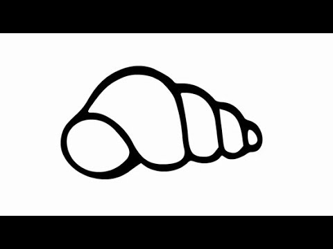 480x360 How To Draw A Seashell - Shell Drawing Easy