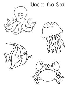 236x305 Images For Gt Simple Seashell Drawings Tattoos I Want Starfish - Shell Drawing Easy