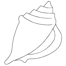 Shell Drawing Easy at PaintingValley.com | Explore collection of Shell ...