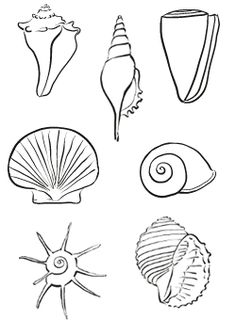 Shell Drawing Easy at PaintingValley.com | Explore collection of Shell