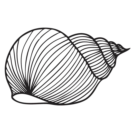 550x550 impact of shellshock bash bug on cloud computing - Shell Line Drawing