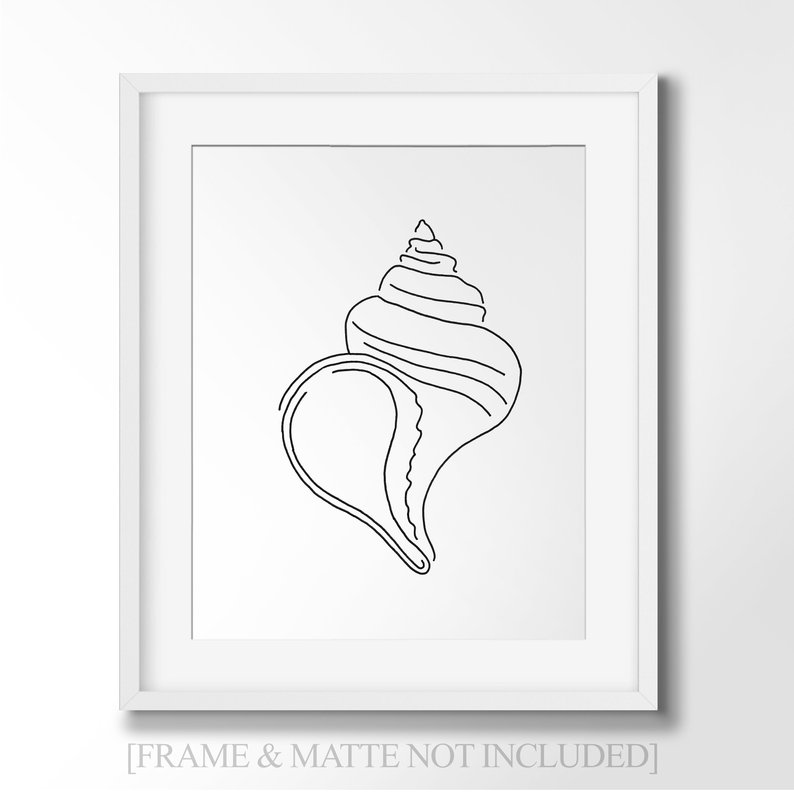 794x794 Nautilus Shell Line Art Minimalist Wall Art Drawing Etsy - Shell Line Drawing