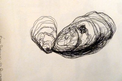 400x268 Oyster Continuous Line Drawing Year Ocean Quest - Shell Line Drawing