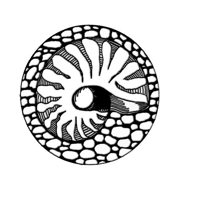 640x640 Best Photos Of Shell Line Drawing - Shell Line Drawing