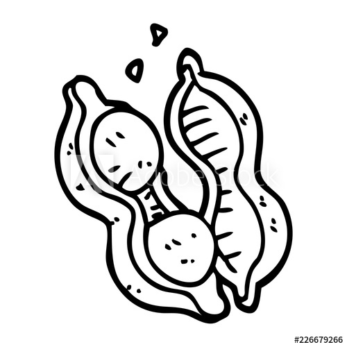 500x500 Line Drawing Cartoon Peanuts In Shell - Shell Line Drawing