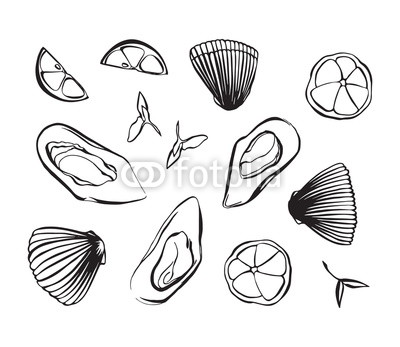 Shellfish Drawing At Paintingvalley.com 