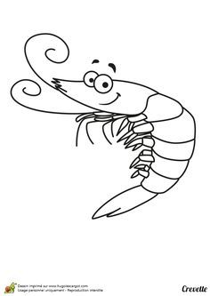 236x333 Image Result For Line Drawings Of Shellfish Children Baby Quilts - Shellfish Drawing