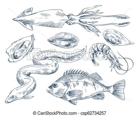450x374 seafood vector monochrome illustration for poster edible - Shellfish Drawing