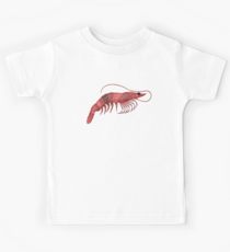 210x230 shellfish drawing kids babies' clothes redbubble - Shellfish Drawing