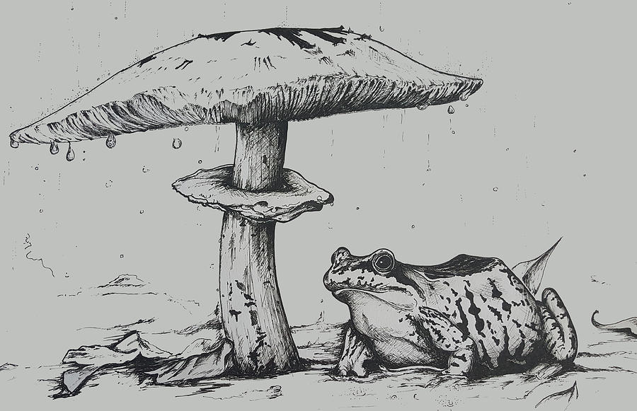 900x581 Frog Takes Shelter Drawing - Shelter Drawing