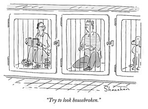 300x221 Shelter Drawings Fine Art America - Shelter Drawing