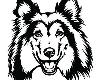 340x270 sheltie drawing etsy - Sheltie Drawing