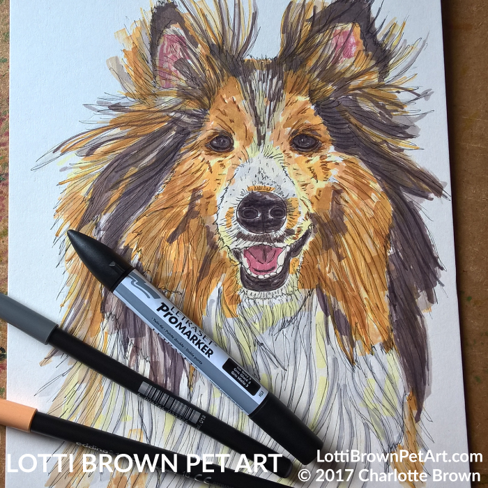 700x700 sweet sheltie art 'chloe in a shetland meadow' lotti brown designs - Sheltie Drawing