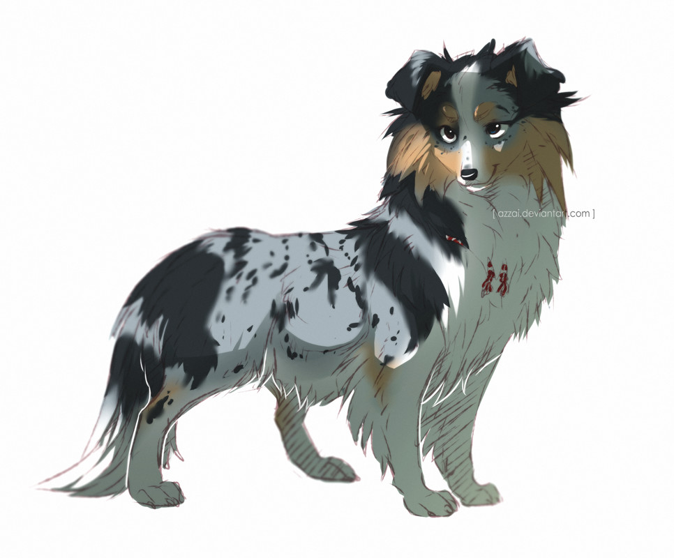 966x800 artstation - Sheltie Drawing