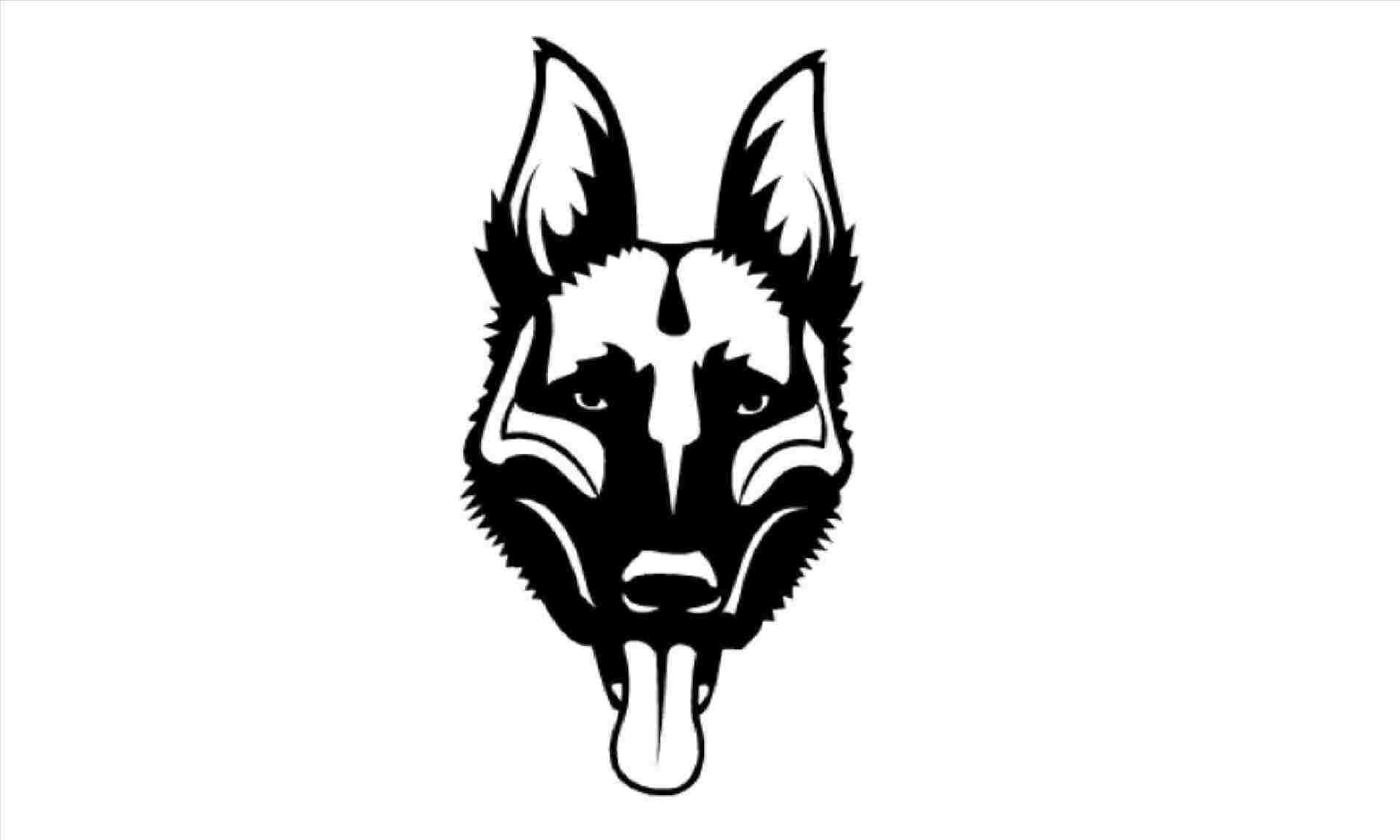 1899x1140 german shepard drawing portrait of german shepherd drawn - Shepard Drawing