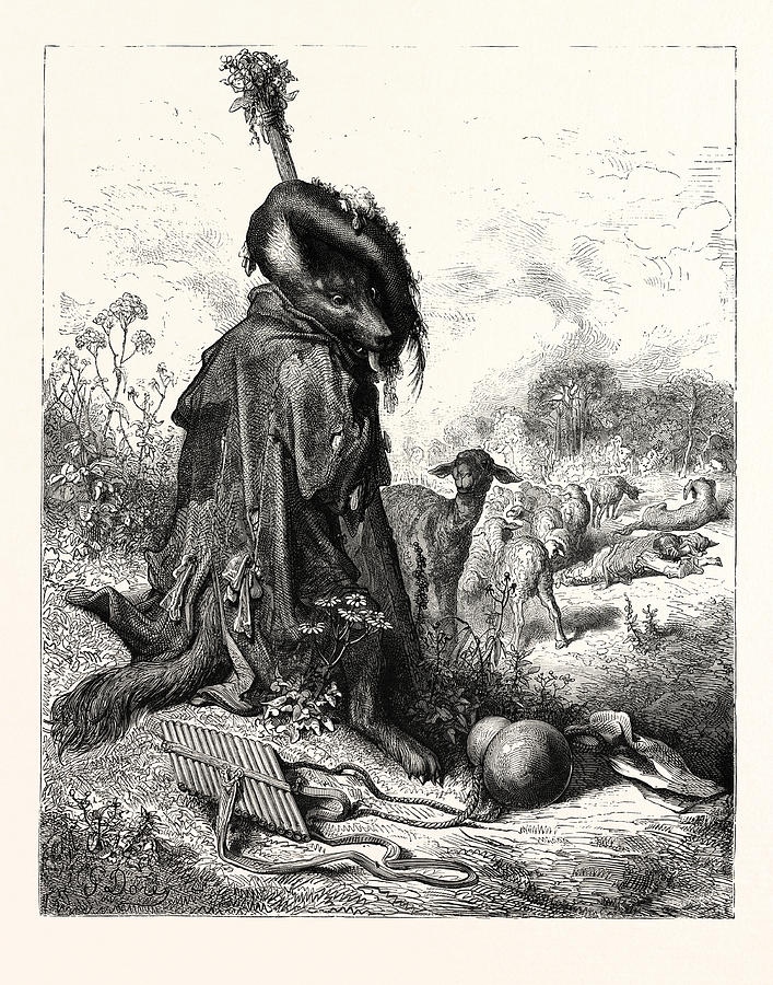 707x900 The Wolf Turned Shepherd Drawing - Shepherd Drawing