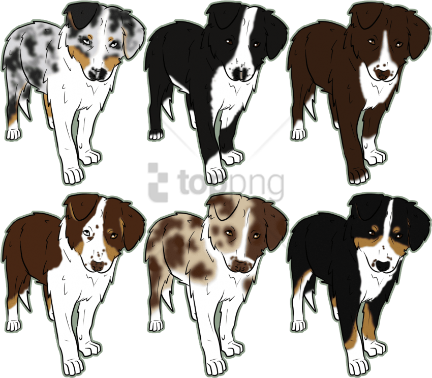 850x743 Australian Shepherd Drawing Easy Png Image With Transparent - Shepherd Drawing