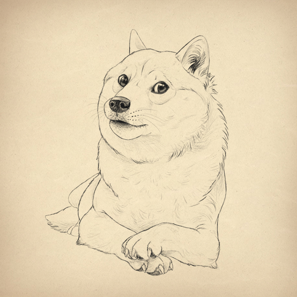 600x600 such tutorial, many fun how to draw doge! - Shiba Drawing