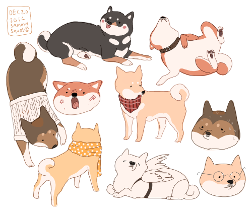 500x423 hamotzi shibas! in art, cute art - Shiba Drawing