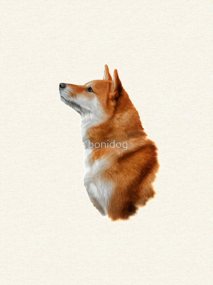 750x1000 drawing japanese shiba inu dog pullover hoodie qr - Shiba Drawing