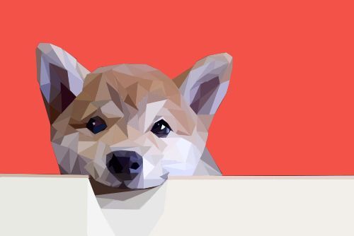 500x334 shiba inu - Shiba Inu Drawing