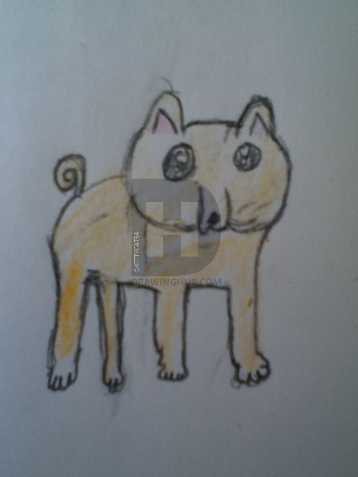 720x960 chibi shiba inu drawing - Shiba Inu Drawing