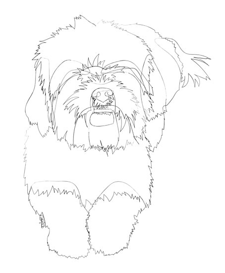 454x550 Shih Tzu Line Drawing Posters - Shih Tzu Drawing