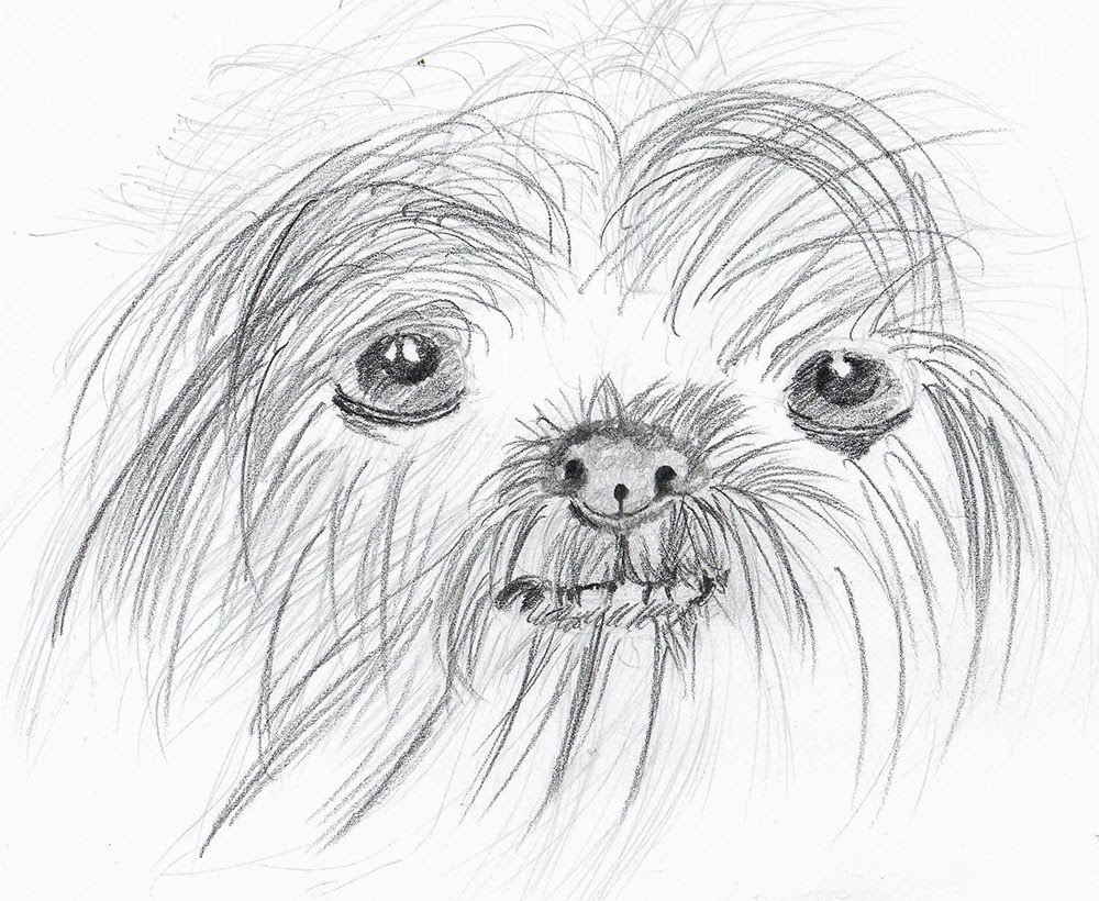 1000x820 weekly doodles and tuts drawspace lesson how to draw - Shih Tzu Drawing