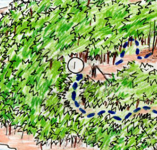 307x292 map of ship trap island - Ship Trap Island Map Drawing