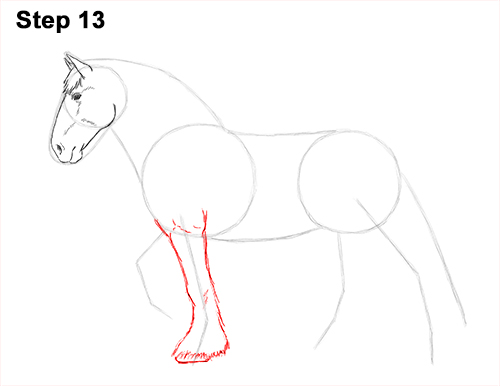500x386 How To Draw A Horse - Shire Horse Drawing