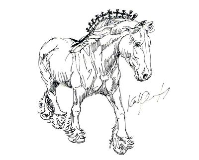 400x322 Shire - Shire Horse Drawing