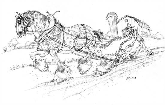 551x350 Shire Horse Drawing - Shire Horse Drawing