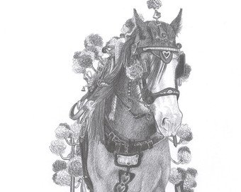 340x270 Shire Horse Drawing Etsy - Shire Horse Drawing