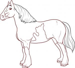 302x274 How To Draw A Shire Horse How To Draw Drawings, Horse Drawings - Shire Horse Drawing