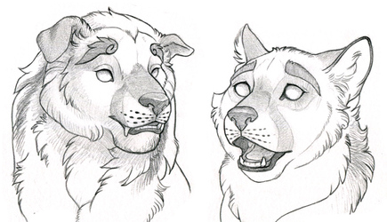 435x250 shisa family portrait weasyl - Shisa Dog Drawing