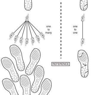 320x320 Example Of Shoe Print Evidence One To Many, One - Shoe Print Drawing