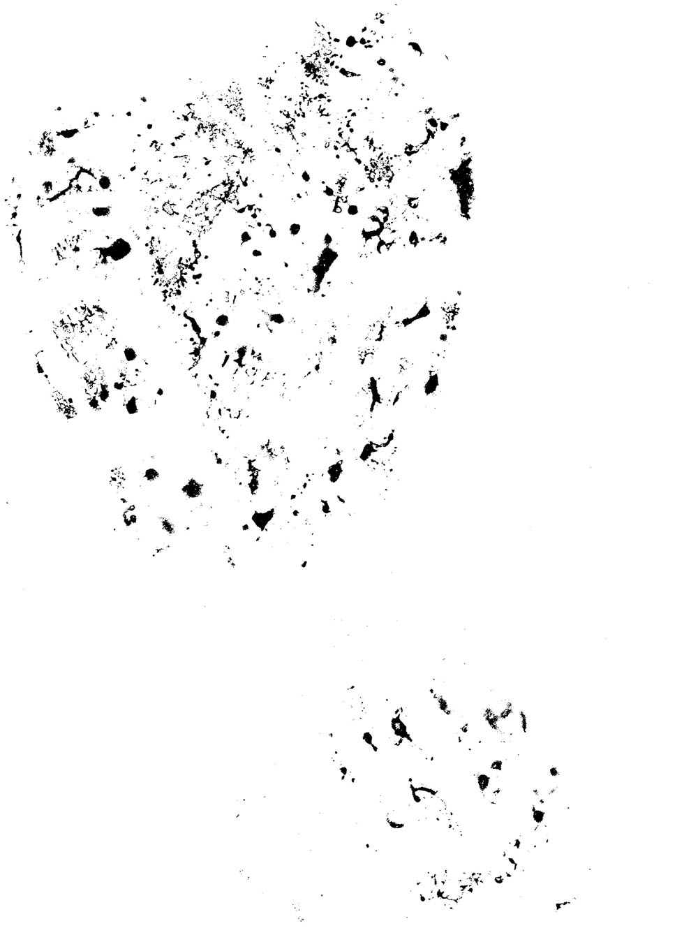 1000x1349 Crime Scene Shoe Print - Shoe Print Drawing